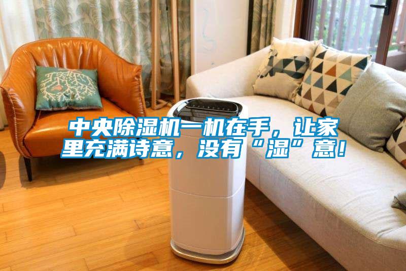 中央除濕機一機在手，讓家里充滿詩意，沒有“濕”意！