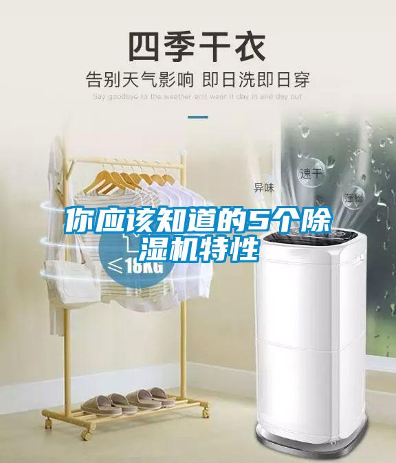 你應(yīng)該知道的5個(gè)除濕機(jī)特性
