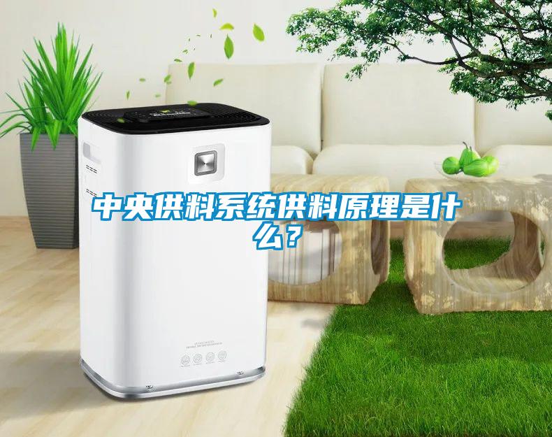 中央供料系統供料原理是什么？