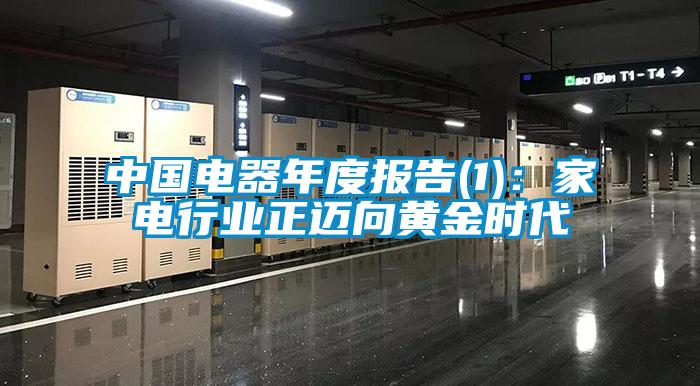 中國電器年度報告(1)：家電行業(yè)正邁向黃金時代