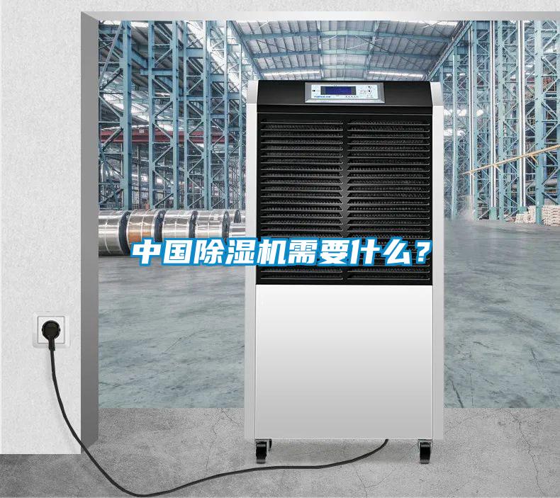 中國除濕機需要什么？