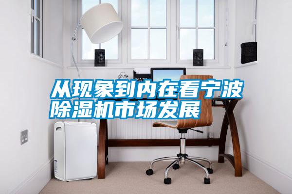 從現象到內在看寧波除濕機市場發展