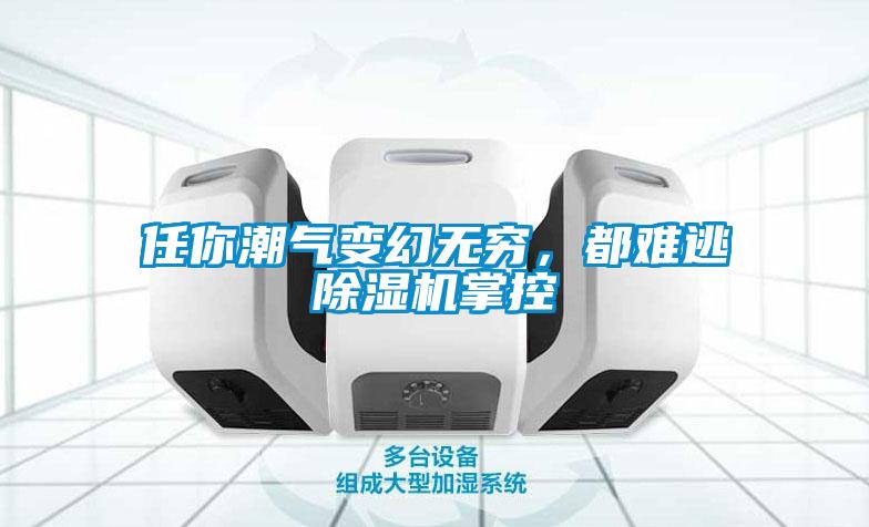 任你潮氣變幻無窮，都難逃除濕機掌控