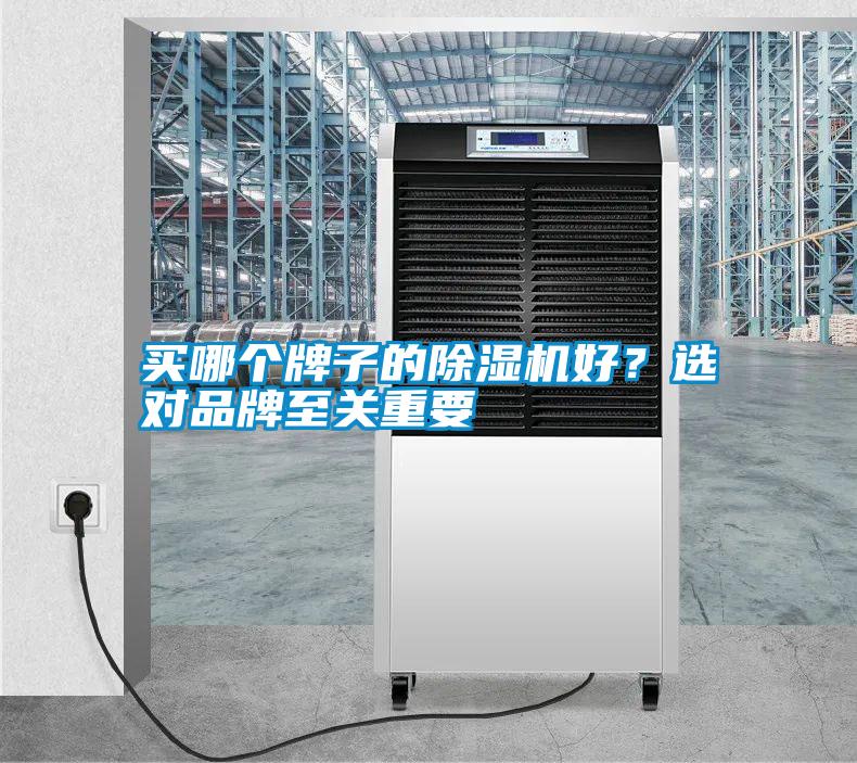 買哪個(gè)牌子的除濕機(jī)好？選對(duì)品牌至關(guān)重要