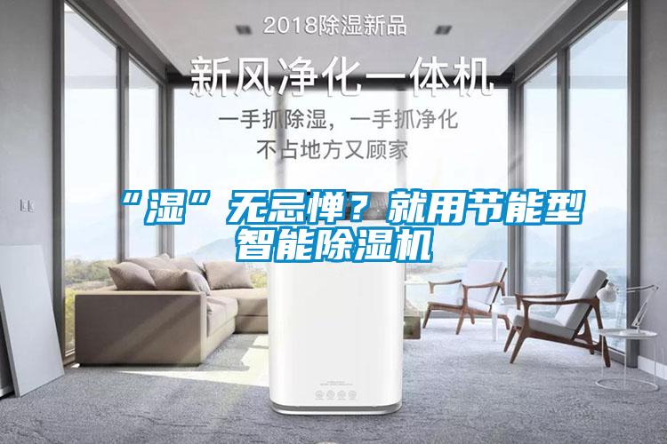 “濕”無忌憚？就用節(jié)能型智能除濕機