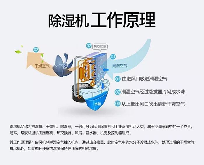 對抗梅雨天，絕不認輸！