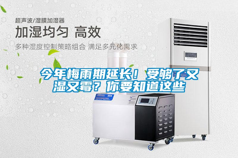 今年梅雨期延長！受夠了又濕又霉？你要知道這些