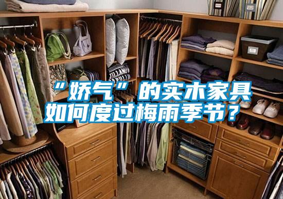 “嬌氣”的實木家具如何度過梅雨季節？