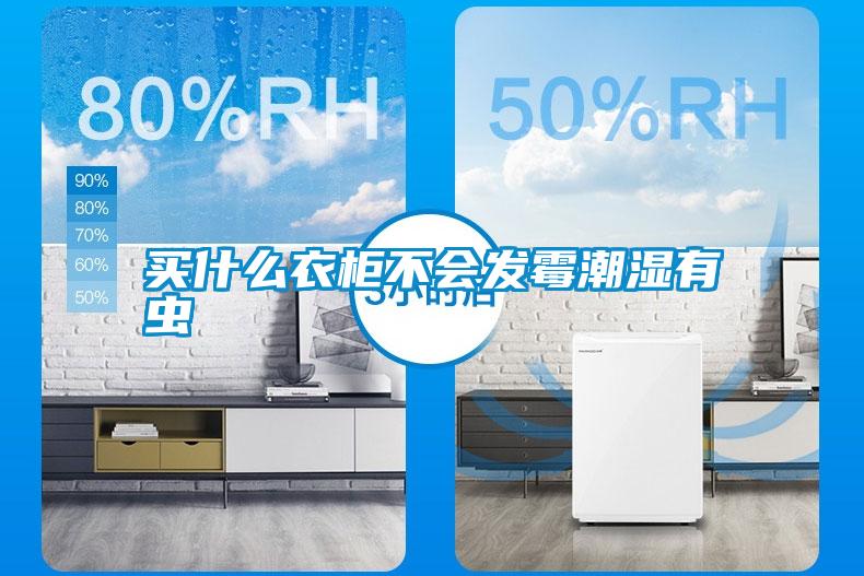 買什么衣柜不會發霉潮濕有蟲