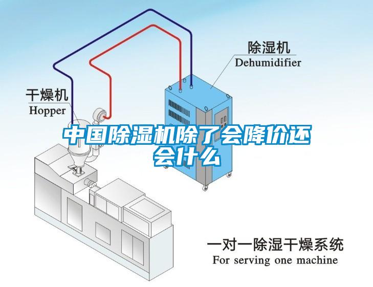 中國除濕機(jī)除了會降價還會什么