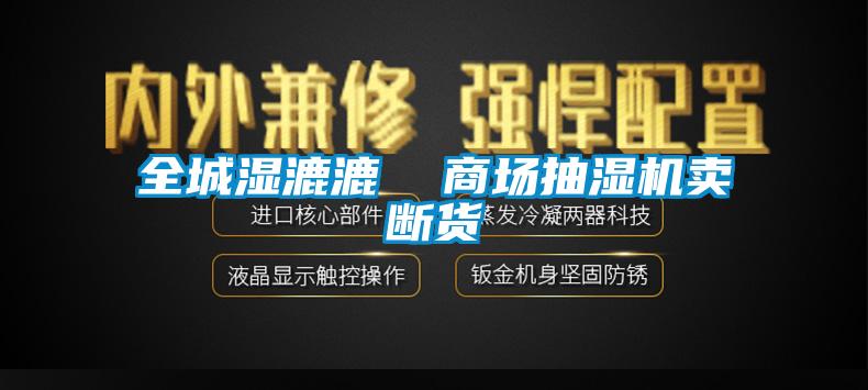 全城濕漉漉  商場抽濕機賣斷貨