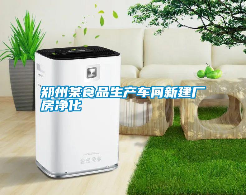 鄭州某食品生產(chǎn)車間新建廠房凈化