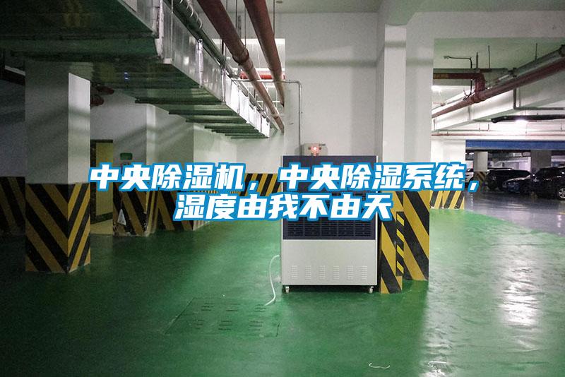 中央除濕機，中央除濕系統，濕度由我不由天