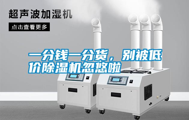 一分錢一分貨，別被低價除濕機忽悠啦