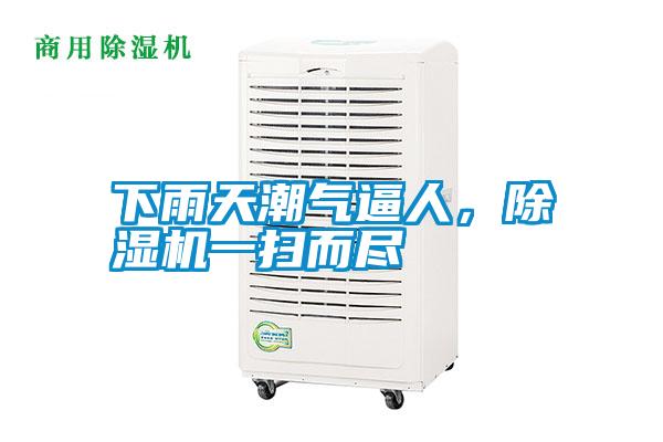 下雨天潮氣逼人，除濕機一掃而盡