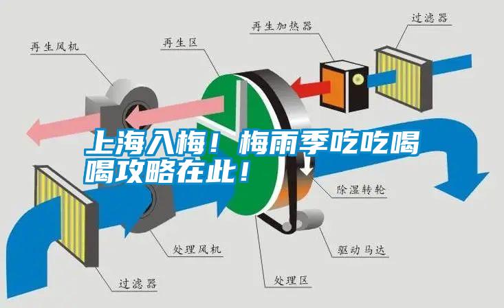 上海入梅！梅雨季吃吃喝喝攻略在此！