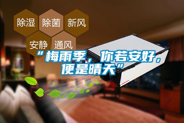 “梅雨季，你若安好，便是晴天”