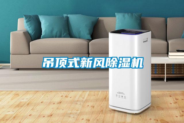 吊頂式新風除濕機
