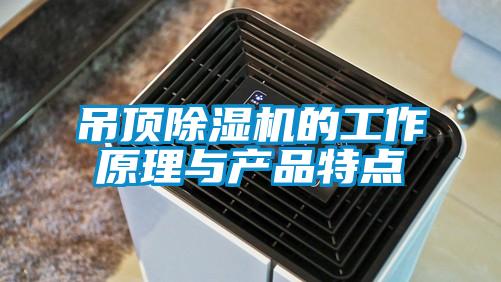 吊頂除濕機(jī)的工作原理與產(chǎn)品特點