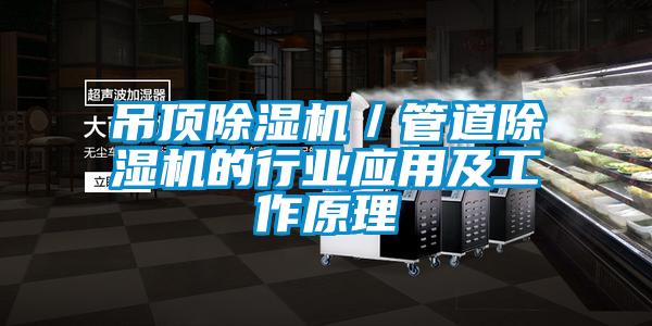 吊頂除濕機(jī)／管道除濕機(jī)的行業(yè)應(yīng)用及工作原理