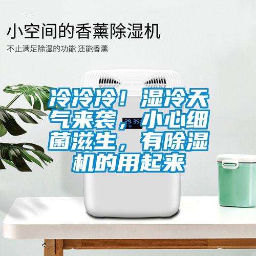 冷冷冷！濕冷天氣來襲，小心細菌滋生，有除濕機的用起來