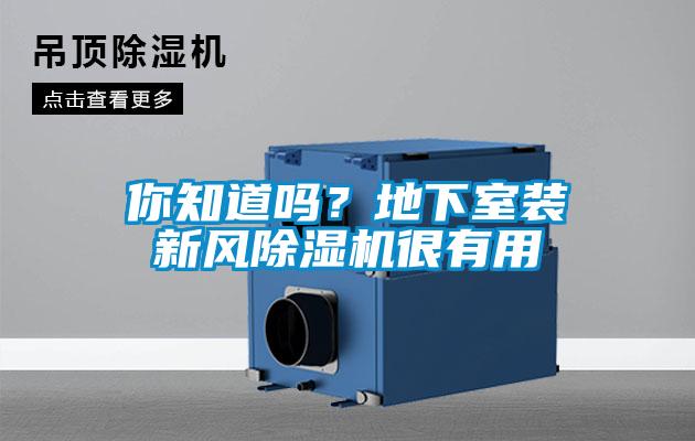 你知道嗎？地下室裝新風(fēng)除濕機(jī)很有用