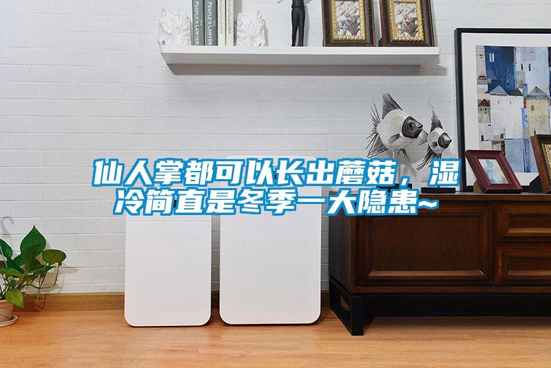 仙人掌都可以長出蘑菇，濕冷簡直是冬季一大隱患~