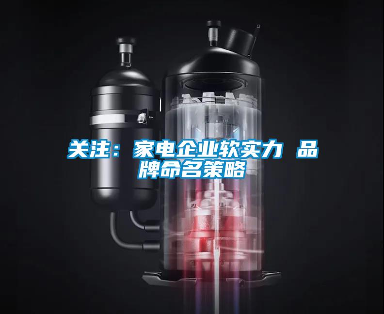 關(guān)注：家電企業(yè)軟實力 品牌命名策略