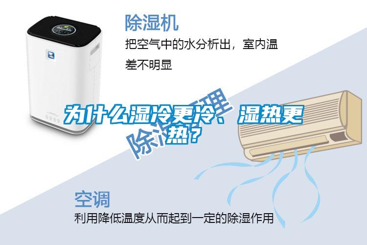 為什么濕冷更冷、濕熱更熱？