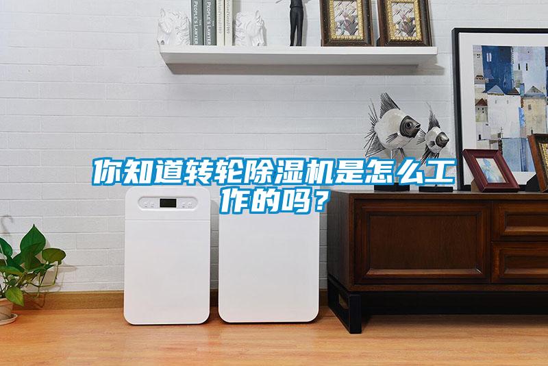 你知道轉輪除濕機是怎么工作的嗎？
