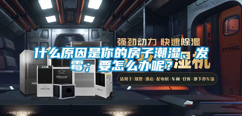 什么原因是你的房子潮濕、發霉；要怎么辦呢？