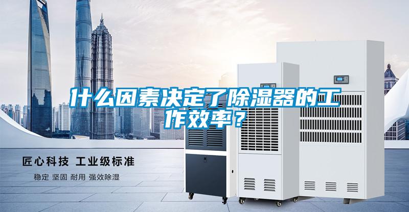 什么因素決定了除濕器的工作效率？