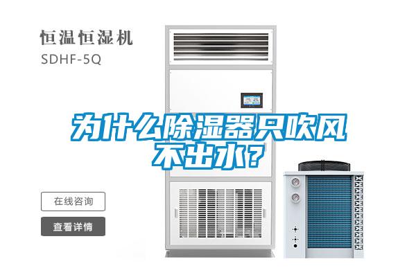 為什么除濕器只吹風不出水？
