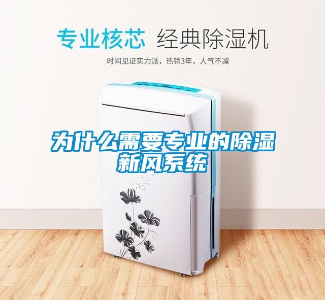 為什么需要專業的除濕新風系統
