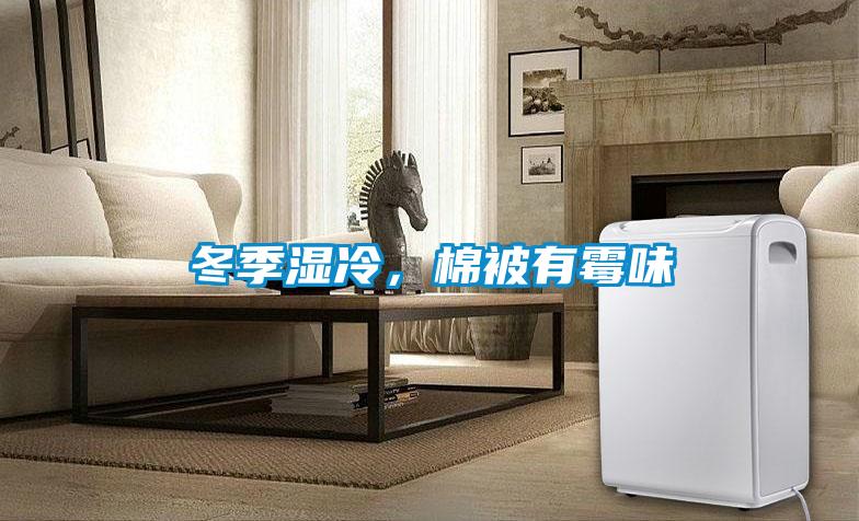 冬季濕冷，棉被有霉味