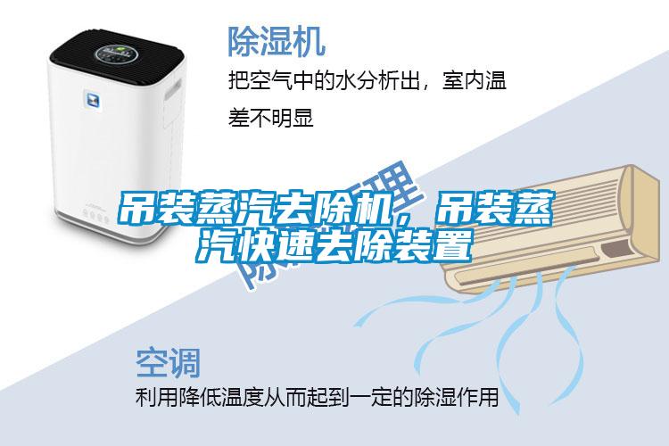 吊裝蒸汽去除機，吊裝蒸汽快速去除裝置