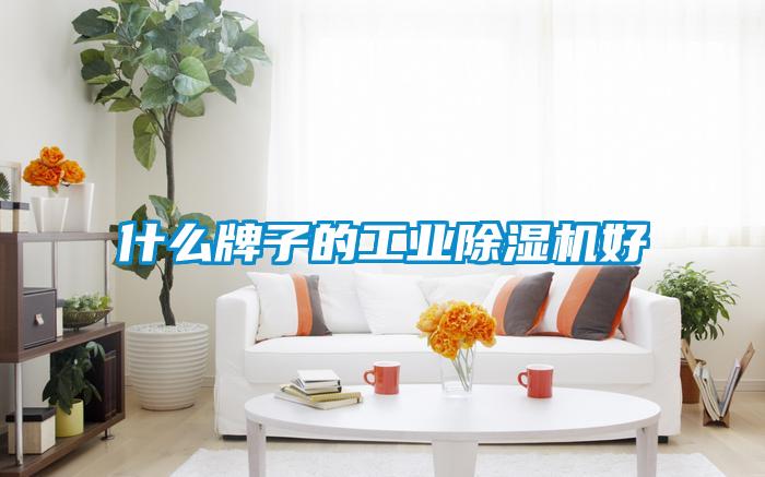 什么牌子的工業除濕機好