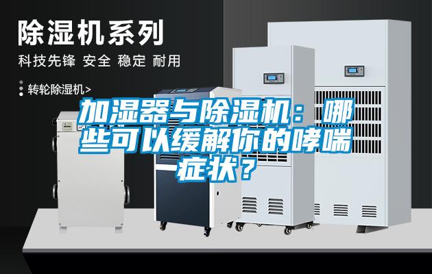 加濕器與除濕機：哪些可以緩解你的哮喘癥狀？