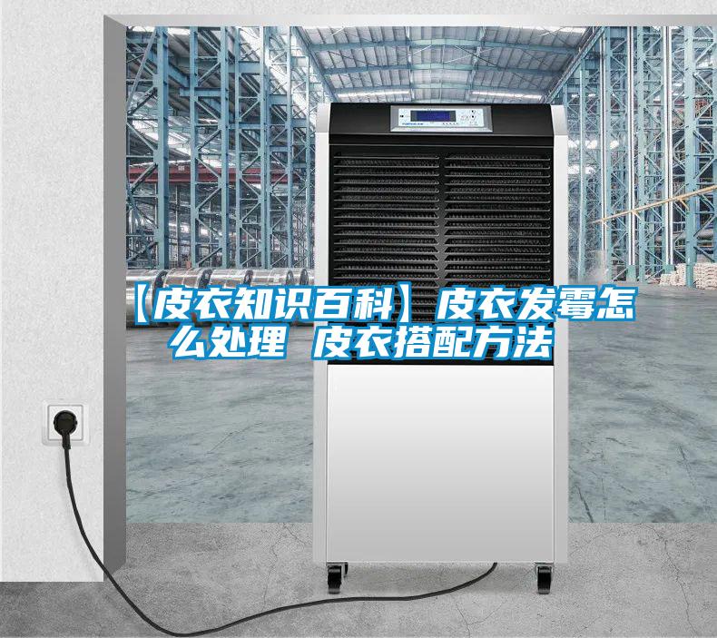 【皮衣知識(shí)百科】皮衣發(fā)霉怎么處理 皮衣搭配方法
