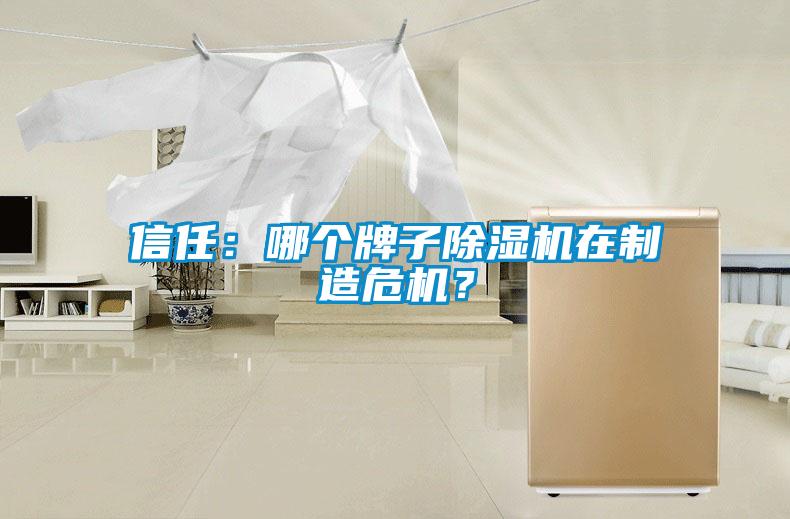信任：哪個牌子除濕機(jī)在制造危機(jī)？