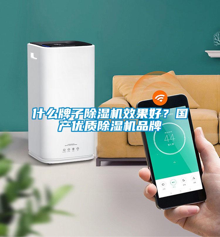 什么牌子除濕機(jī)效果好？國產(chǎn)優(yōu)質(zhì)除濕機(jī)品牌