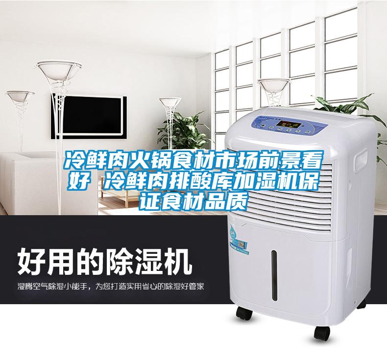 冷鮮肉火鍋食材市場前景看好 冷鮮肉排酸庫加濕機保證食材品質
