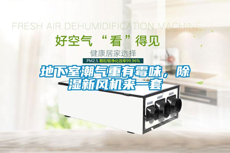 地下室潮氣重有霉味，除濕新風(fēng)機來一套