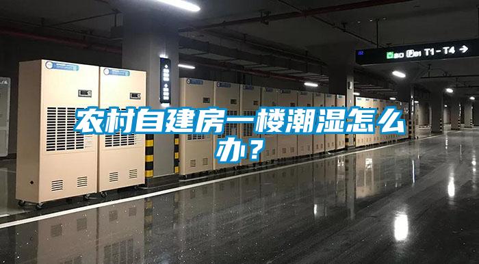 農(nóng)村自建房一樓潮濕怎么辦？