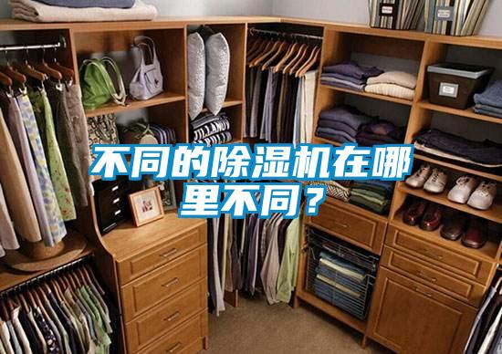 不同的除濕機在哪里不同？
