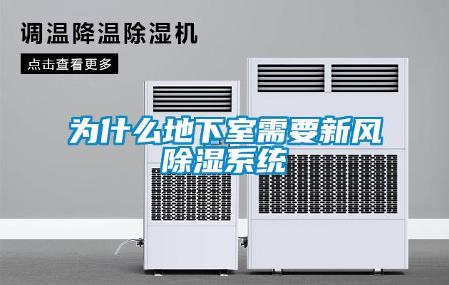 為什么地下室需要新風除濕系統