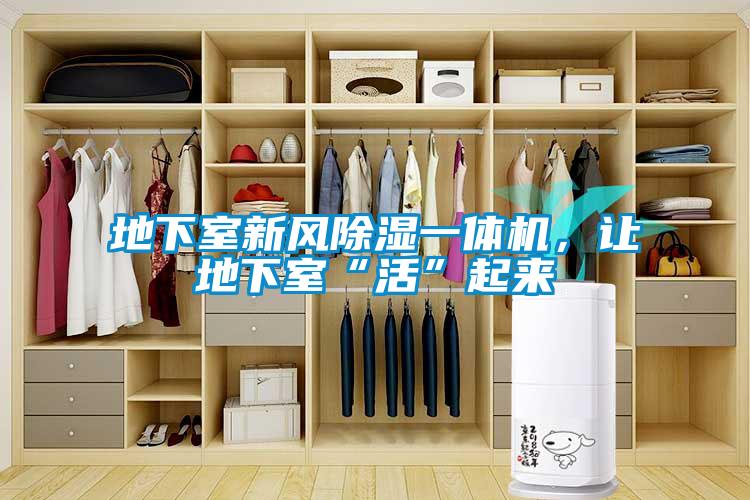 地下室新風(fēng)除濕一體機(jī)，讓地下室“活”起來