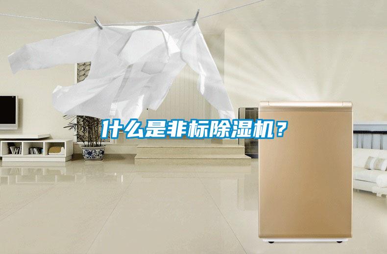 什么是非標除濕機？
