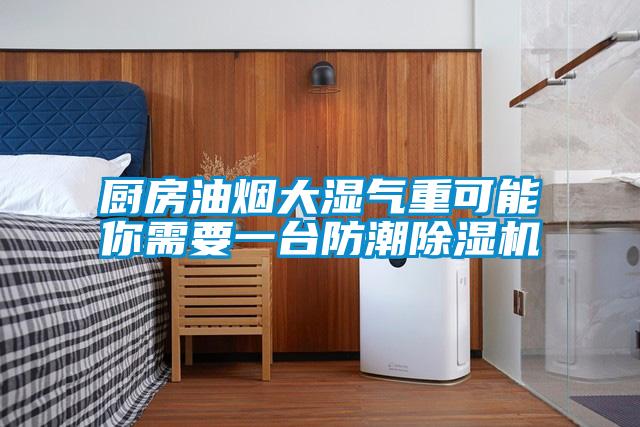 廚房油煙大濕氣重可能你需要一臺(tái)防潮除濕機(jī)