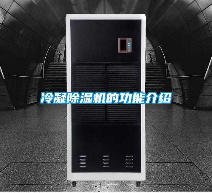 冷凝除濕機(jī)的功能介紹
